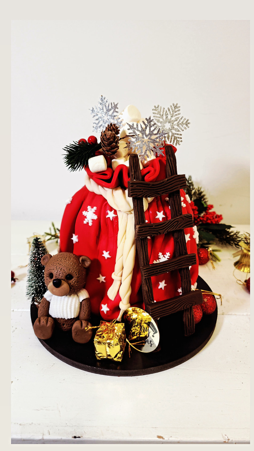 Santa's Sack